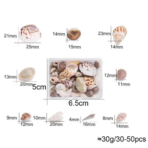 Mixed Sea Shell Box - 50 gm